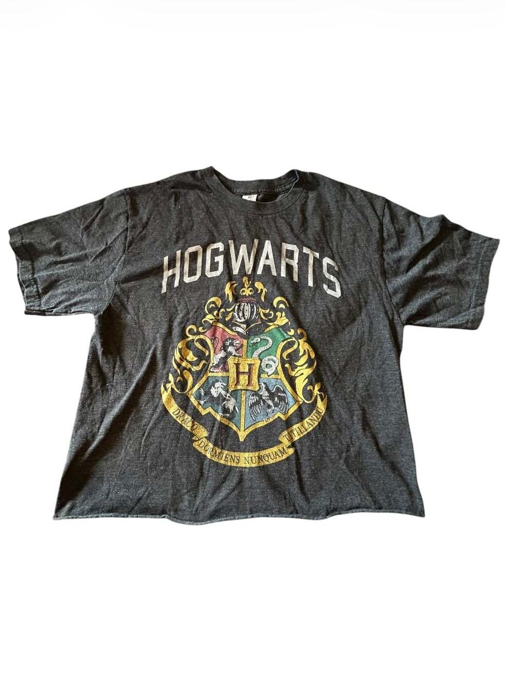 Harry Potter Hogwarts Crop top T-Shirt
